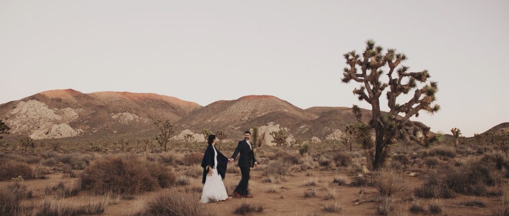 drone joshua tree